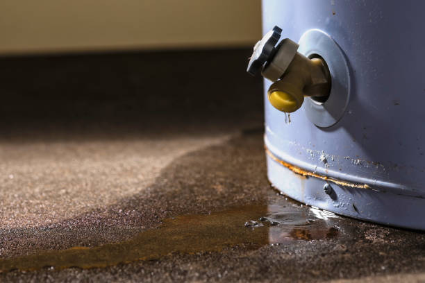 Best Basement water damage restoration  in Lakeside, CA