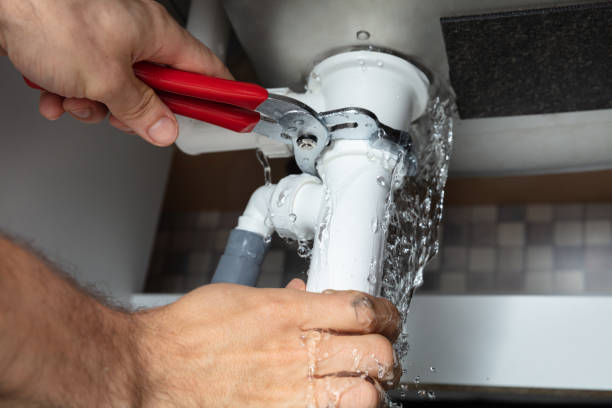 Best Flood damage cleanup  in Lakeside, CA
