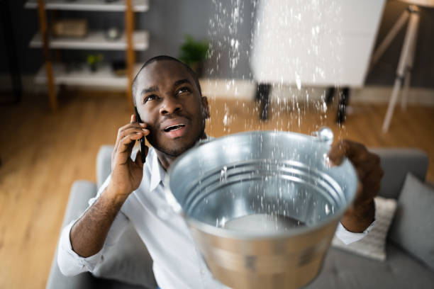 Best Water damage cleanup near me  in Lakeside, CA