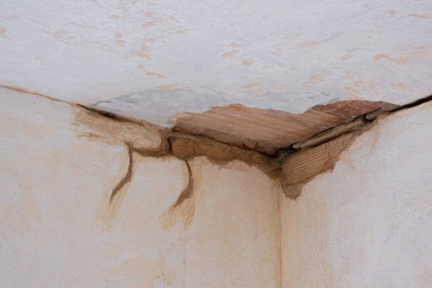 Best Flood restoration services  in Lakeside, CA