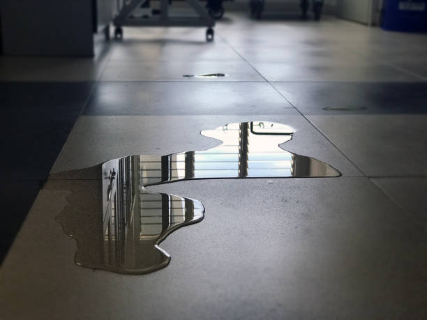 Best Professional water damage repair  in Lakeside, CA