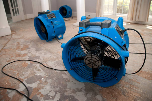 Best 24/7 water damage repair  in Lakeside, CA
