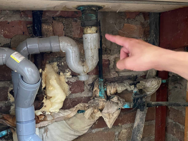 Best Mold removal after water damage  in Lakeside, CA