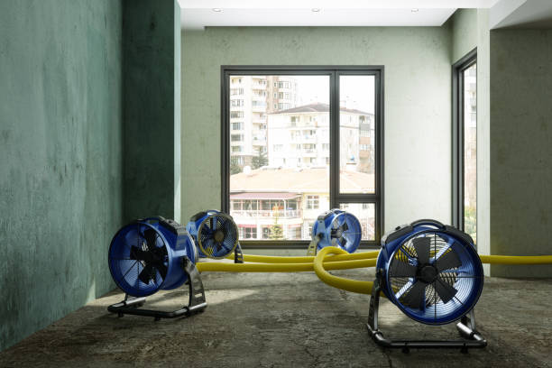 Best Emergency water damage restoration  in Lakeside, CA
