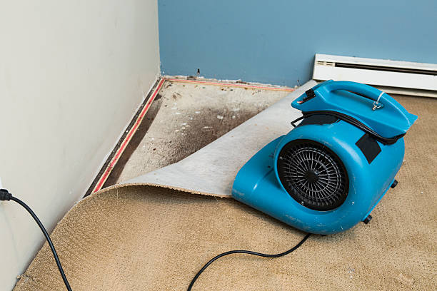 Water damage restoration mold remediation in Lakeside, CA